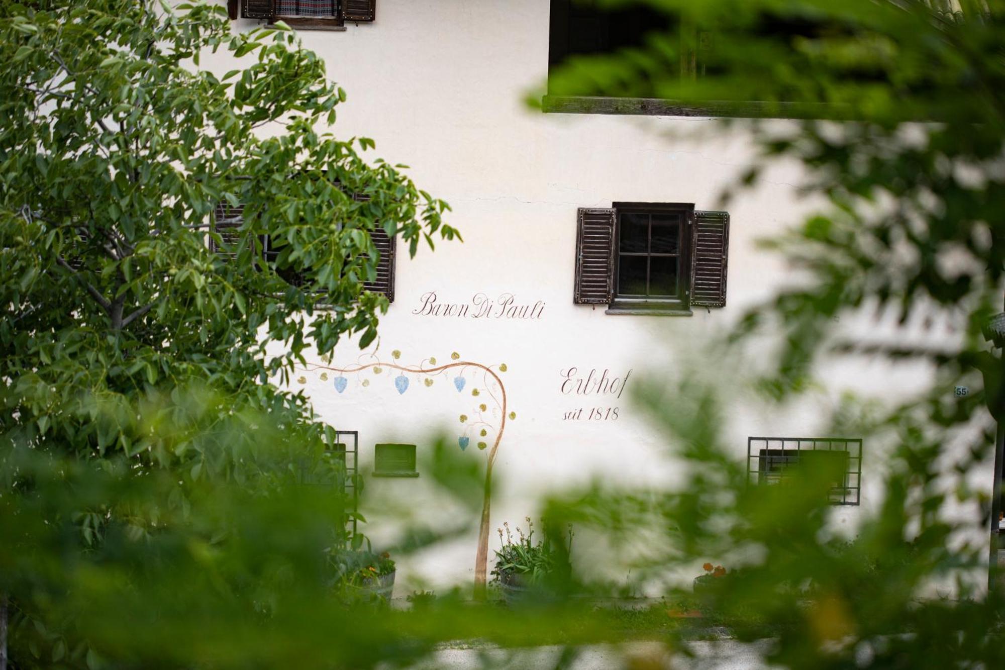 Arzenhof, Baron Di Pauli Apartment Caldaro Exterior photo