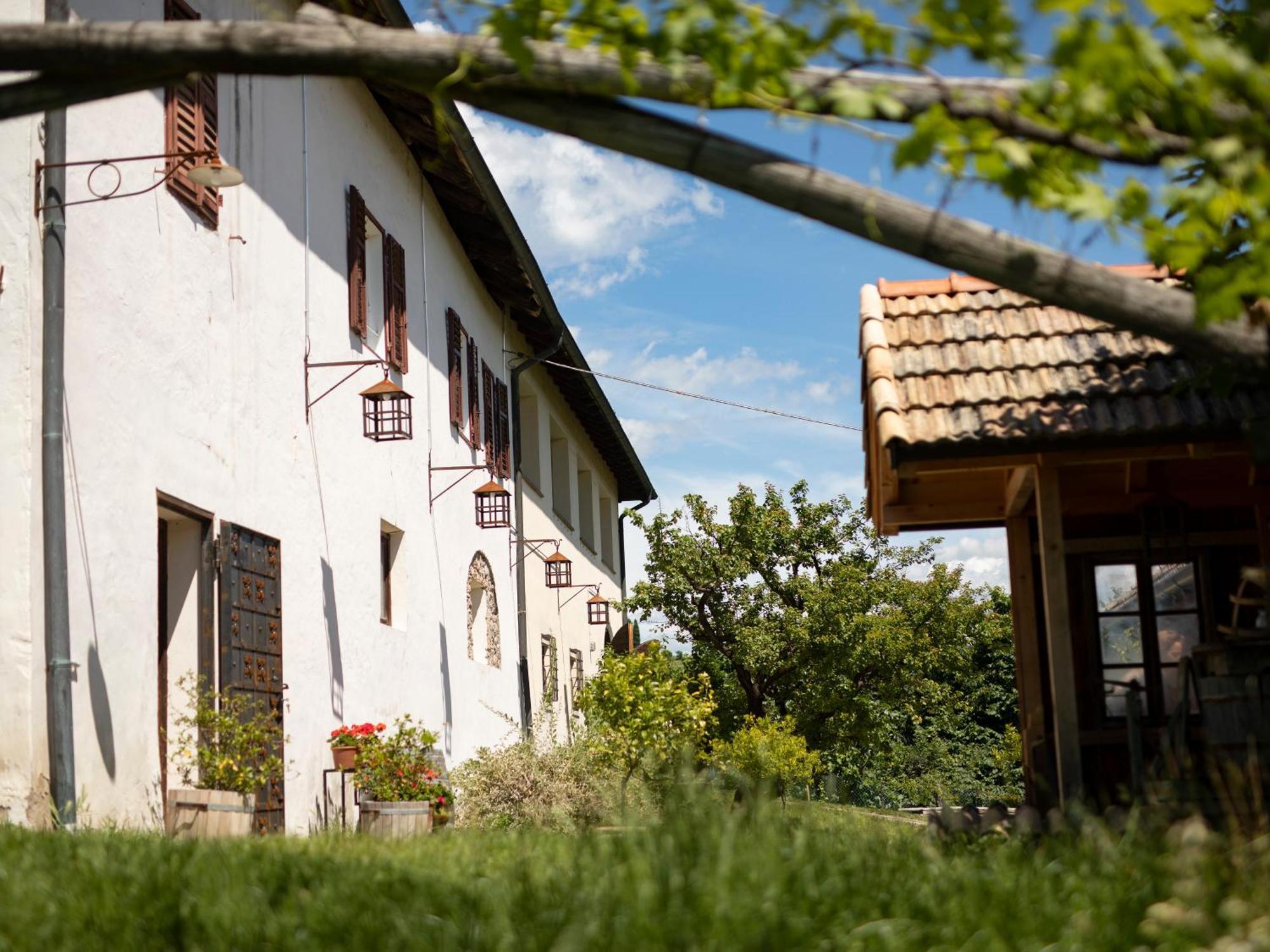 Arzenhof, Baron Di Pauli Apartment Caldaro Exterior photo