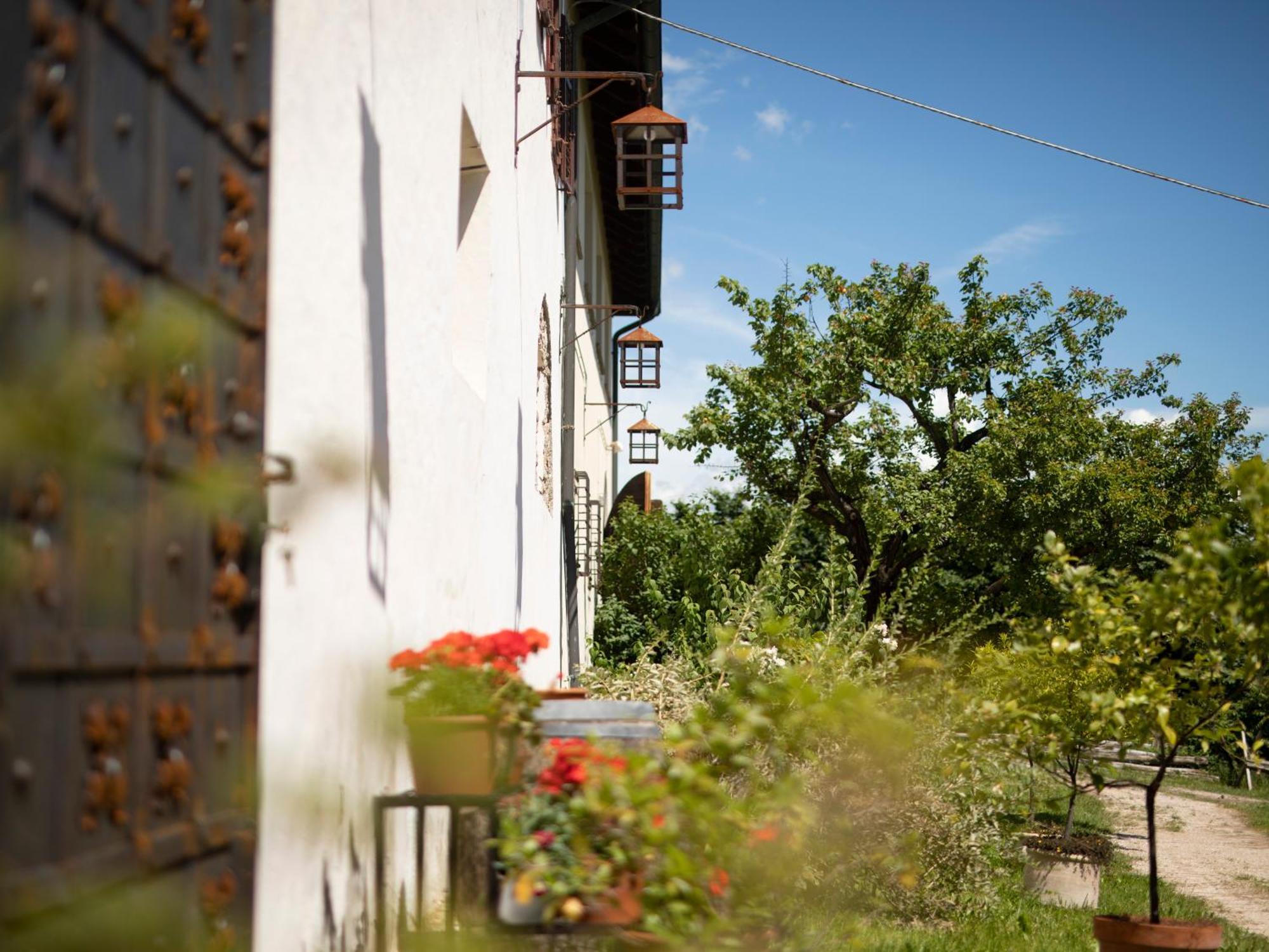 Arzenhof, Baron Di Pauli Apartment Caldaro Exterior photo
